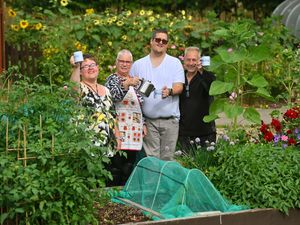Supporting image for story: Community garden providing place of welcome amid hidden gem