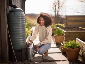Installing a water butt is another great way to save water to use in your garden