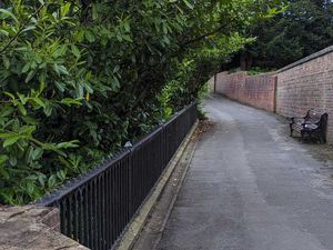 Supporting image for story: Litter thrown from Bridgnorth pathway to street more than 100ft below causes damage and 'significant concern'