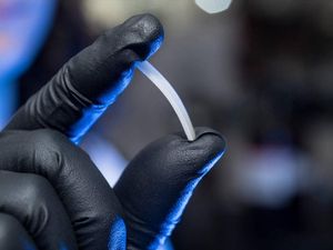 Supporting image for story: Scientists discover ‘infinitely’ recyclable plastic-like material