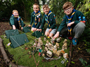 Supporting image for story: Cubs step in to help spruce up beloved Fairy Forest that's been delighting village since lockdown