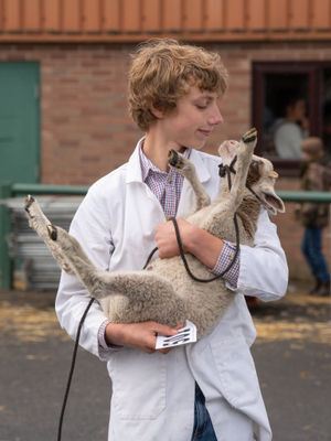 This young farmer was also taking part in the animal showing. Ian Knight / Z70 Photography