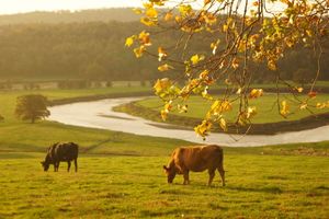 Supporting image for story: Shropshire fertiliser company forced to upgrade infrastructure after claims pollution levels 'pose a risk'