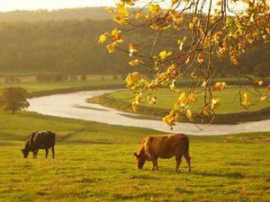 Supporting image for story: Shropshire fertiliser company forced to upgrade infrastructure after claims pollution levels 'pose a risk'