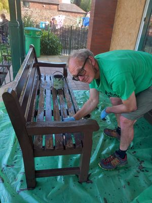 Mayor's consort Duncan Foulkes painting benches for Oswestry in Bloom