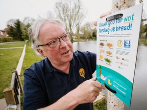 Supporting image for story: Get 'breaducated' and help keep Newport's waterfowl healthy