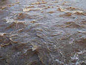 Supporting image for story: Farmer fined over slurry