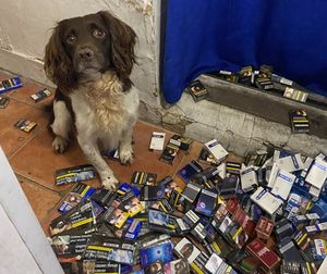 Sniffer dogs assisted in locating tobacco and drugs. Photo: Walsall Council Trading Standards
