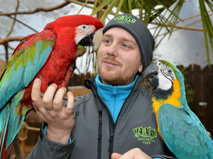 Supporting image for story: What a difference a year makes: WILD Zoological Park's makeover