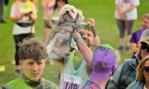 Even our four legged friends were getting involved