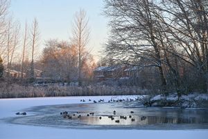 Even the birds seemed to enjoy the colder weather
