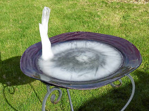 Supporting image for story: Amazing upside-down ice spike is spotted in Shropshire garden bird bath