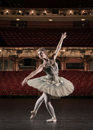 Supporting image for story