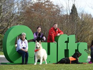 Supporting image for story: Crufts 2022: Full day-by-day schedule including competitions and displays