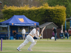 Supporting image for story: Shropshire cricketers come up short in loss to Cheshire