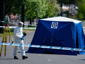 Supporting image for story: Fatally stabbed teenager was chased down, police believe