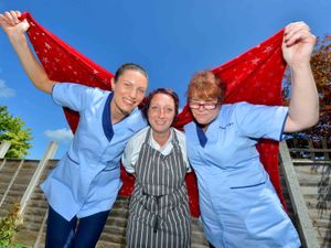 Supporting image for story: Staff taking plunge to help Shrewsbury care home residents