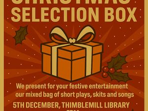 Supporting image for story: Christmas show at Stourbridge Library this weekend