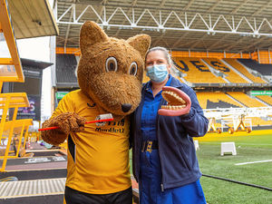 Supporting image for story: Wolves mascot joins campaign to save toddlers' teeth