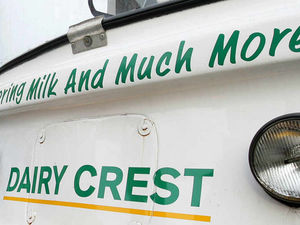 Supporting image for story: Dairy sell-off boosts cheese firm profits