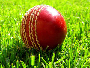 Supporting image for story: Shropshire CCC spin their way to victory over Wiltshire