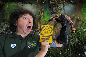 Supporting image for story: Telford Exotic Zoo's peculiar lizard to star on Blue Peter