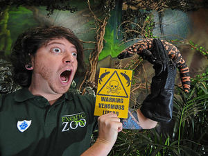 Supporting image for story: Telford Exotic Zoo's peculiar lizard to star on Blue Peter