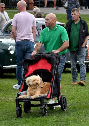 One dog got a ride around Hednesford Park by his owner