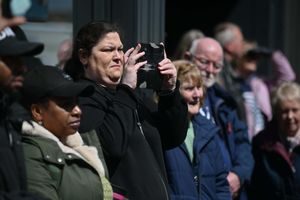 The crowd
