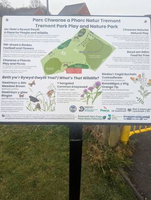 The new interpretation board at Tremont park play and nature park