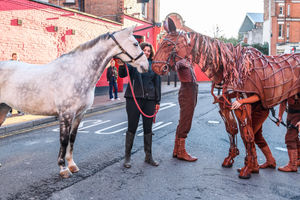 Silver meets Joey with Hippodrome Chief Executive and Artistic Director, Fiona Allan