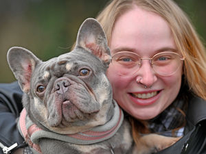 Supporting image for story: Besotted owner plans fun day fundraiser to help rescue dog who sounds like she's always growling