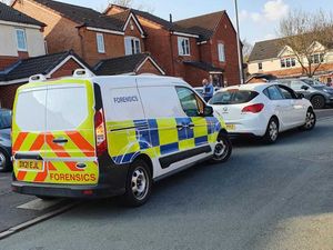 Supporting image for story: Two men arrested after dog attacked two children in Cannock