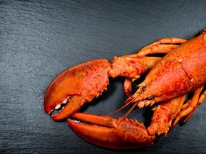 Supporting image for story: A 100-message Twitter thread has Friends fans questioning everything about Ross being Rachel’s lobster