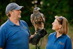 Steve Cross, Paco the Chilean Blue Eagle and Lisa Scattergood
