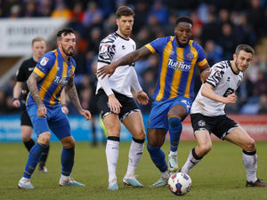 Supporting image for story: Shrewsbury 3 Port Vale 2 - Player ratings 