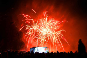 Supporting image for story: Thousands at Walsall Arboretum fireworks display - pictures