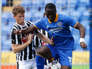 Supporting image for story: Matt Taylor urges Shrewsbury striker Dan Udoh to 'stay hungry'