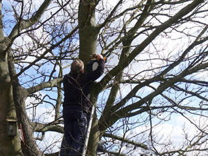Supporting image for story: Seven species of bat found along Lichfield Canal thanks to 14-year-old's survey