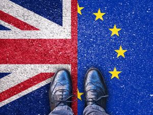 Supporting image for story: Shock poll as 60 per cent of readers back second EU referendum 