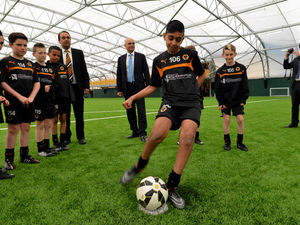 Supporting image for story: Video: Wolves retain Category One status