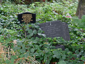 Supporting image for story: Residents dismayed over cluttered ground at Dudley church cemetery