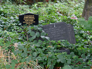 Supporting image for story: Residents dismayed over cluttered ground at Dudley church cemetery 