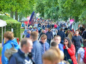 Supporting image for story: Preparations ongoing for virtual Shrewsbury Flower Show