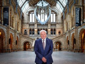 Supporting image for story: Sir David Attenborough to present immersive experience at Natural History Museum