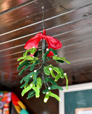A sprig of mistletoe