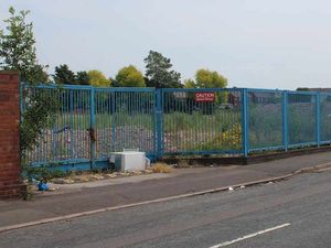 Supporting image for story: Old Wolverhampton Tap Works site touted to developers as part of scheme to build 100 homes