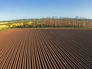 Supporting image for story: Bill's early morning trip with his drone is a spring spectacular