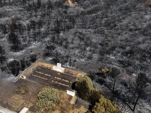 Supporting image for story: Wildfires rage in western Turkey exacerbated by windy and dry weather