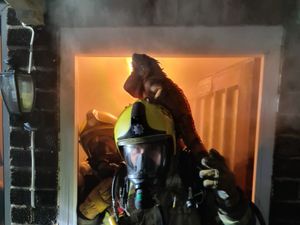 Supporting image for story: Iguana escapes on firefighter’s helmet after reptile mat starts house blaze